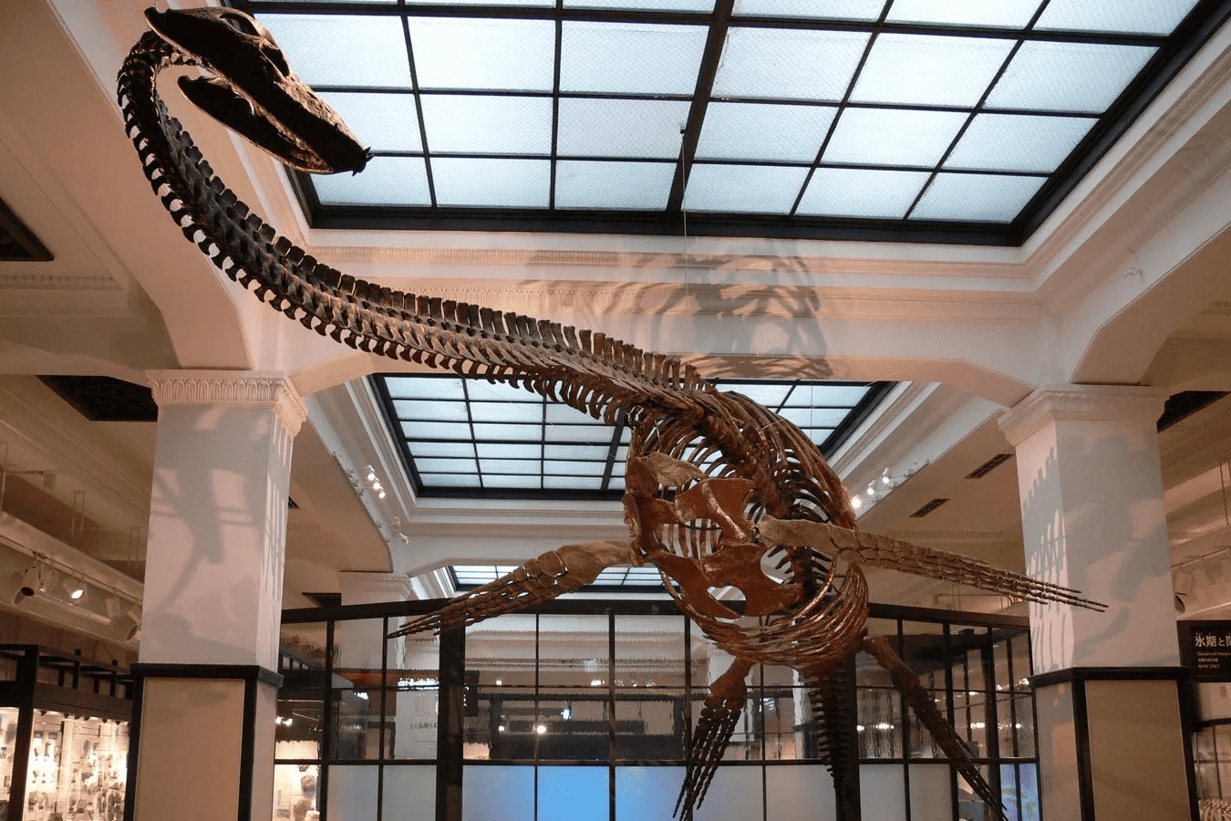 museum
